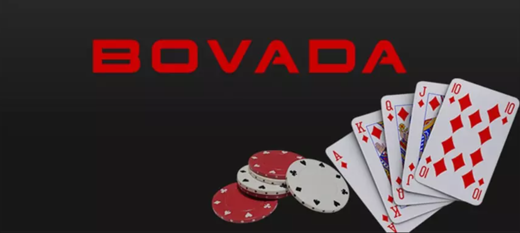 Exploring the world beyond Bovada 1